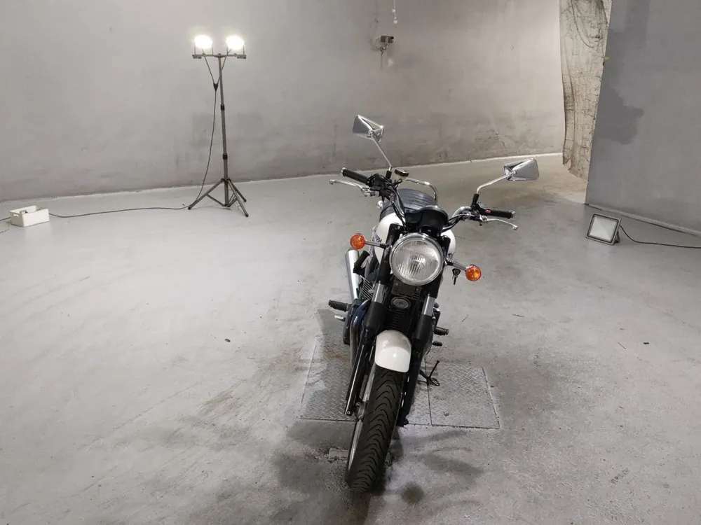 Triumph Bonneville Se 2009, белый, фото 3