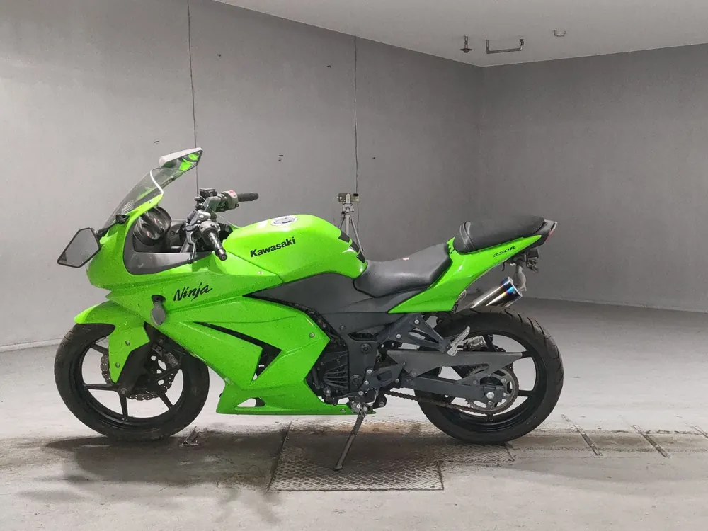 Kawasaki Ninja 250SL, зелёный, фото 2