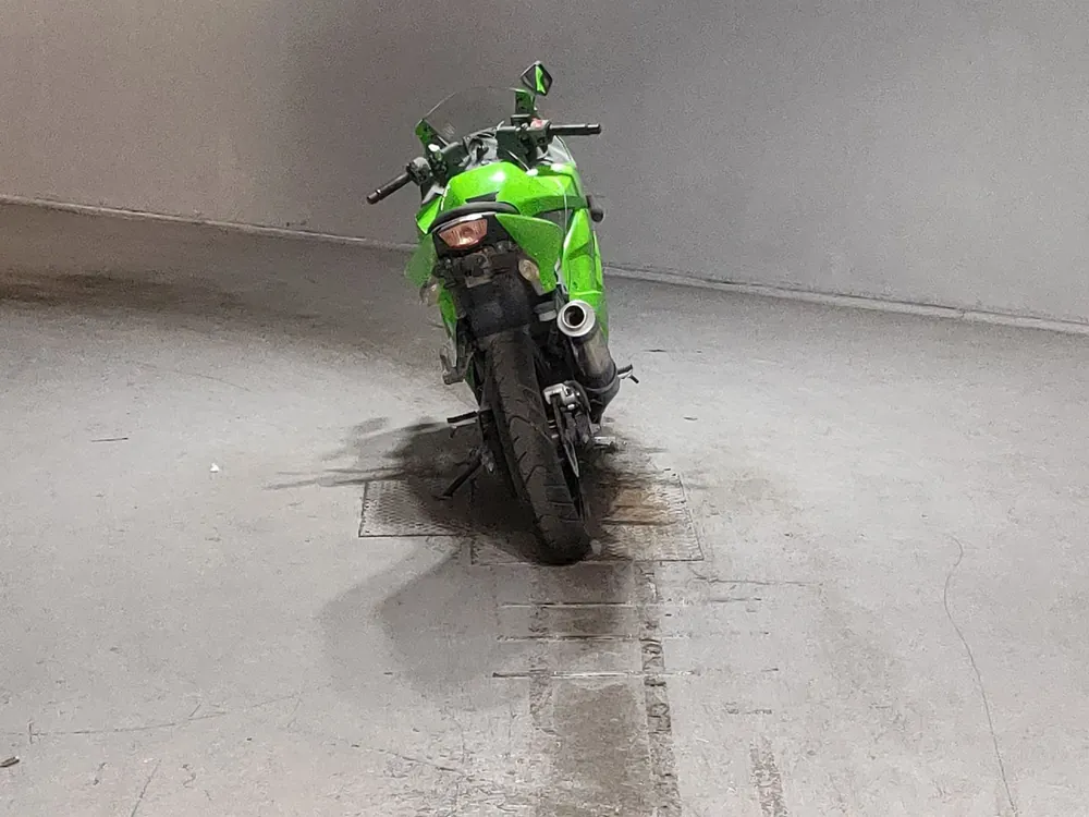Kawasaki Ninja 250SL, зелёный, фото 4