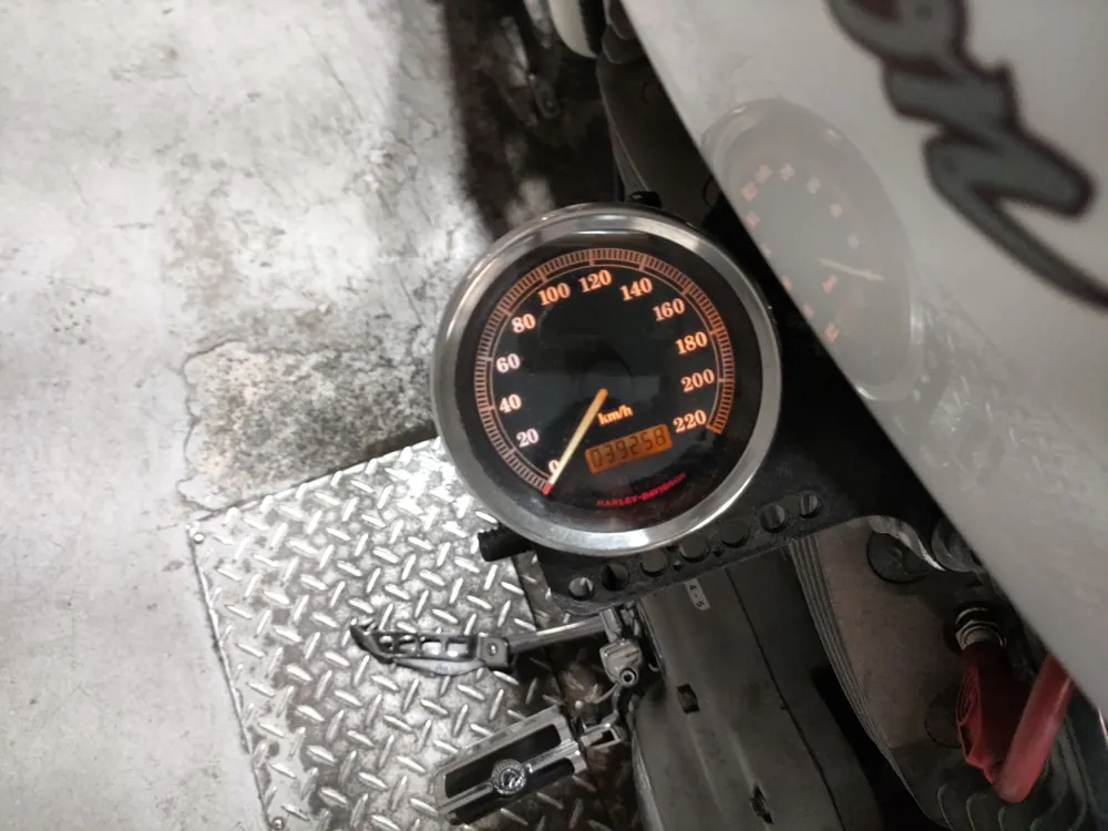Harley-Davidson XL883C 2001, белый, фото 5