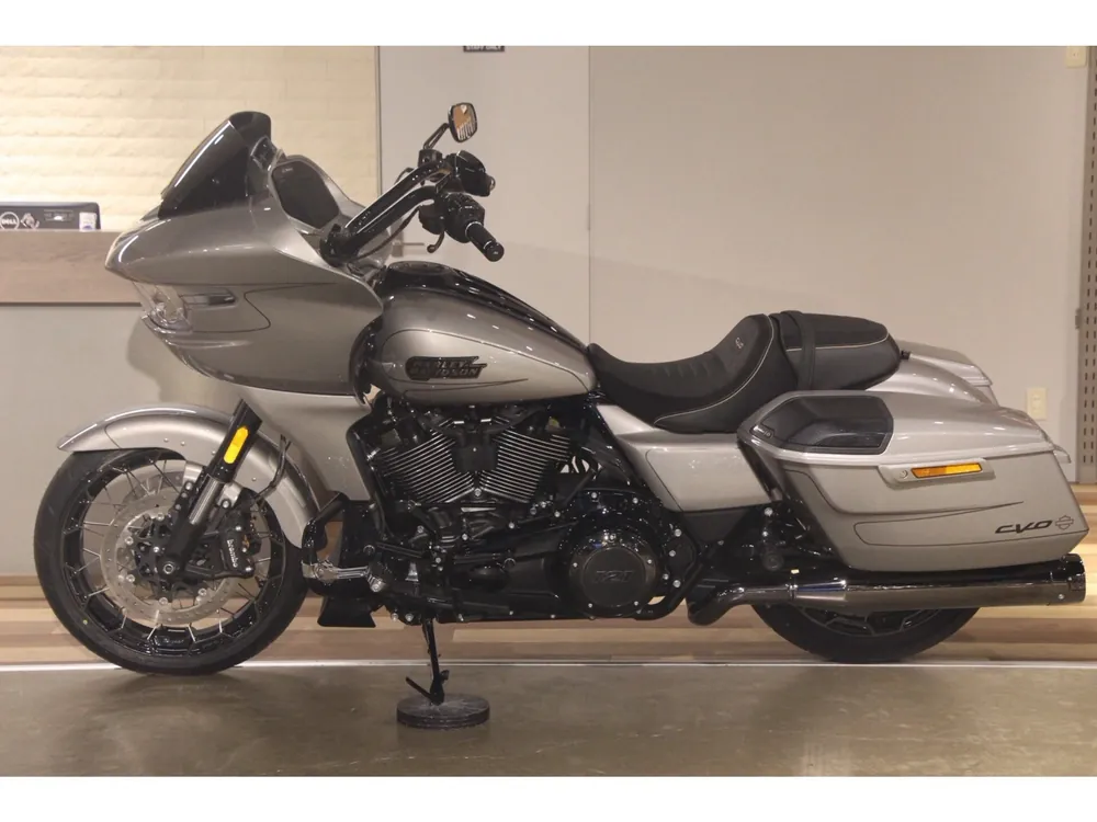 Harley-Davidson FLTRXSE1800CVO 2024, серебристый, фото 2