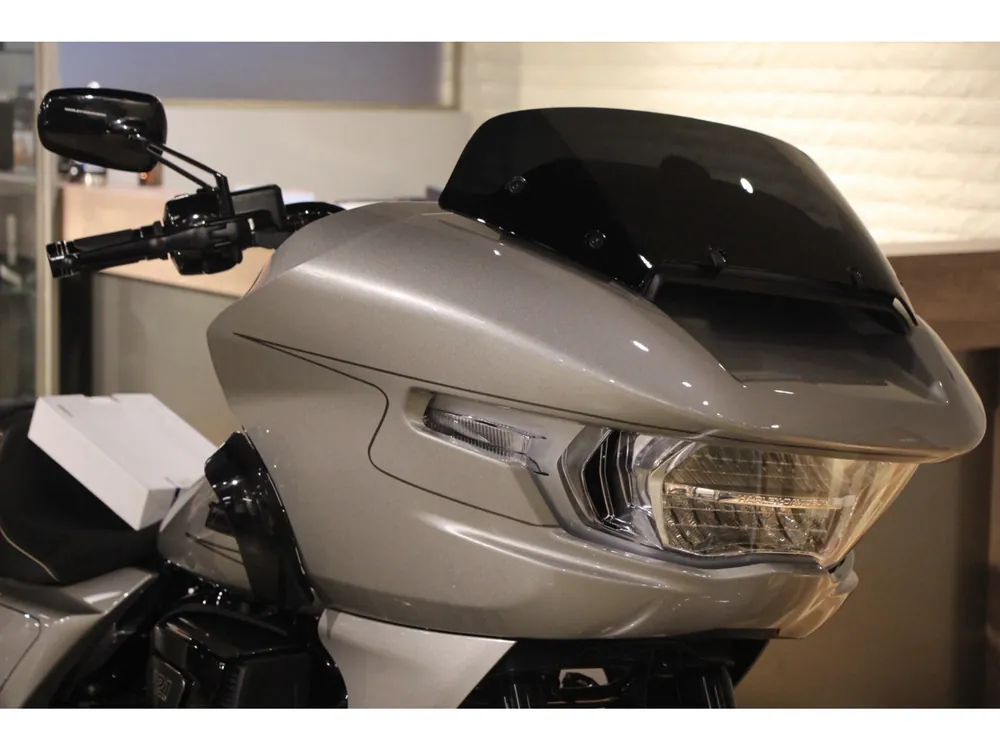 Harley-Davidson FLTRXSE1800CVO 2024, серебристый, фото 3