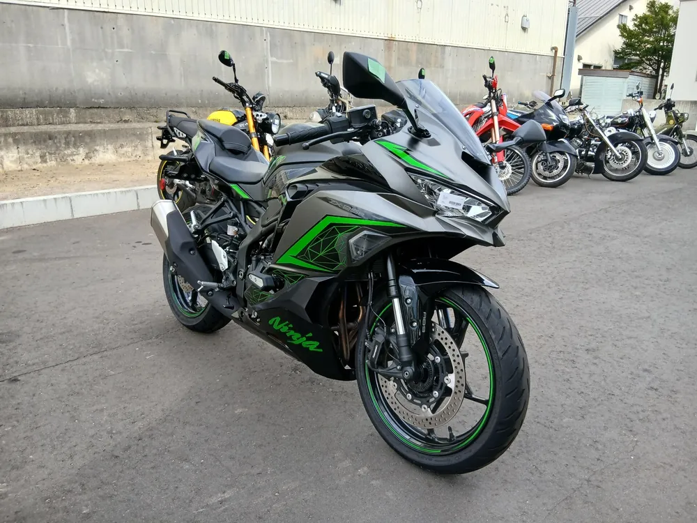 Kawasaki ZX-25R, mat gray, фото 4