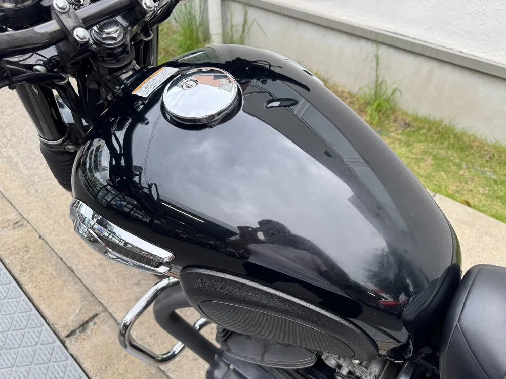 Kawasaki W800 2013, чёрный, фото 9
