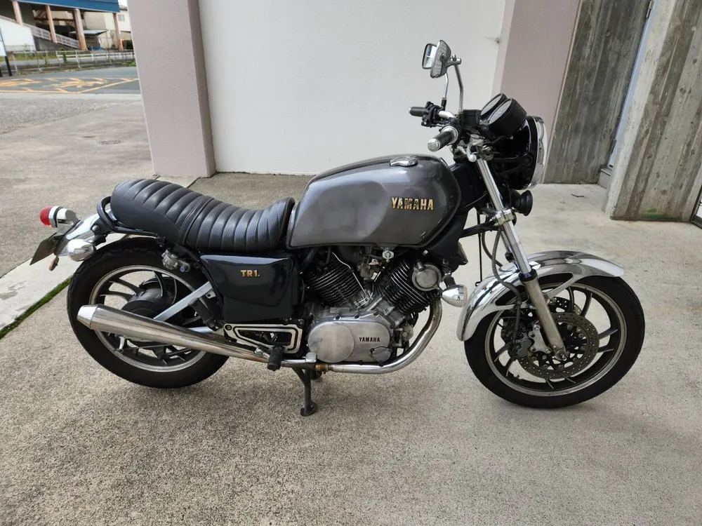 Yamaha XV1000 1981, фото 3