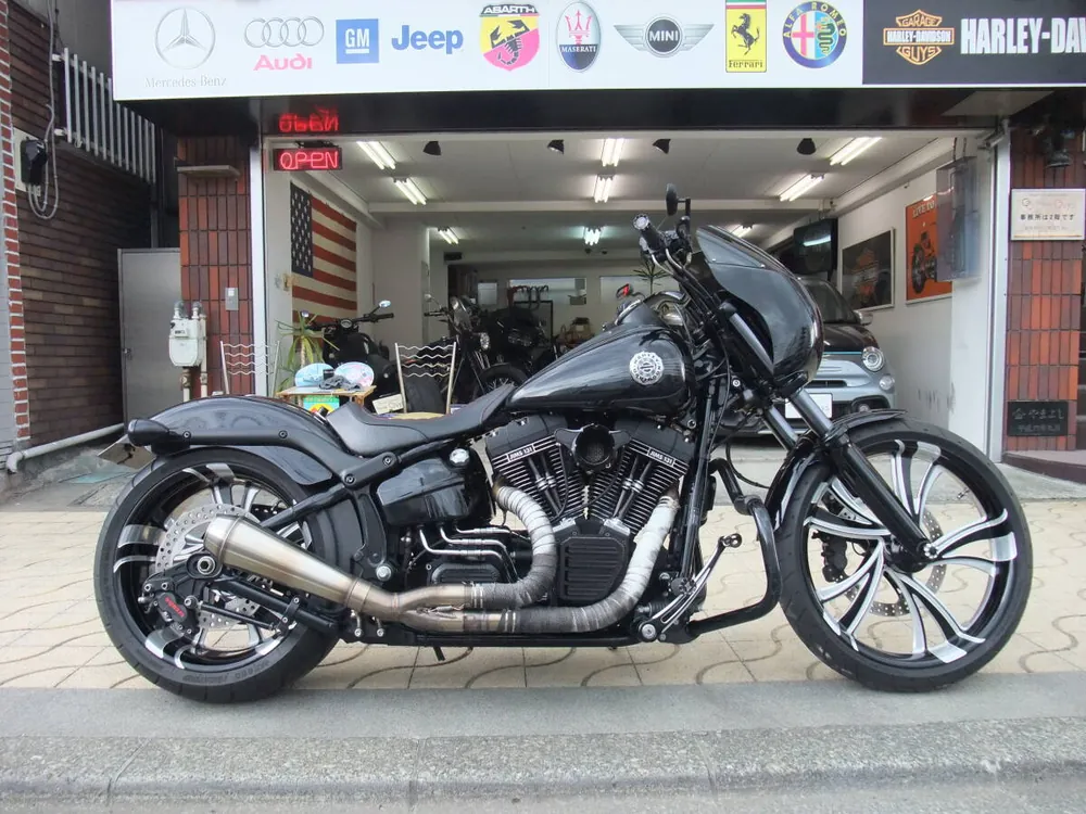Harley-Davidson FXSB Breakout 2014, фото 3