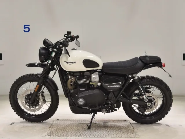 Triumph Street Scrambler 2019, белый, фото 2
