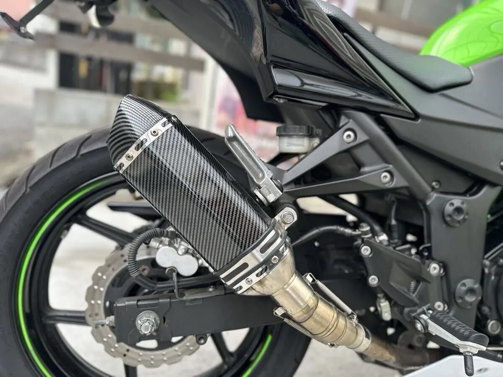 Kawasaki Ninja 250R 2010, фото 10