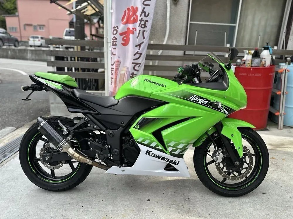 Kawasaki Ninja 250R 2010, фото 3