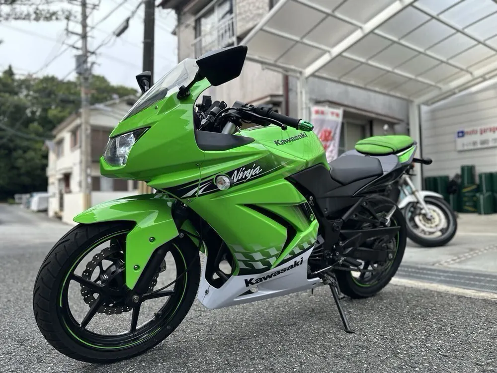 Kawasaki Ninja 250R 2010, фото 4