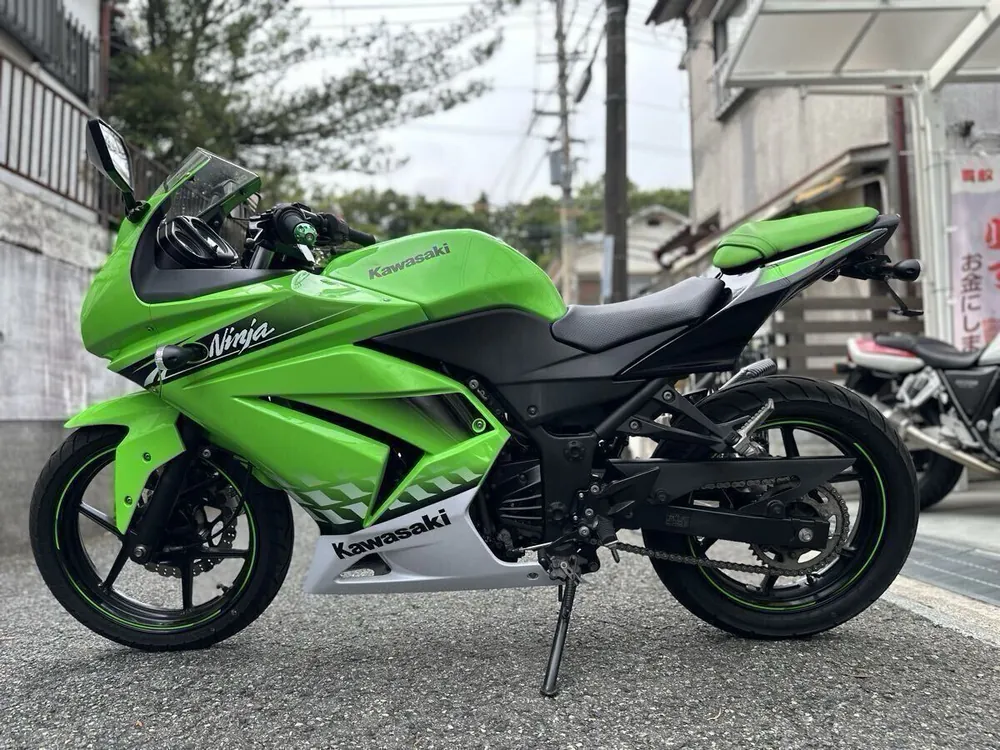 Kawasaki Ninja 250R 2010, фото 5