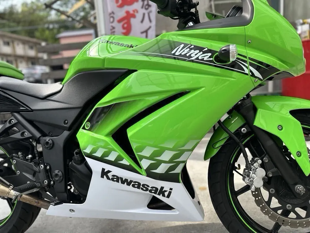 Kawasaki Ninja 250R 2010, фото 6