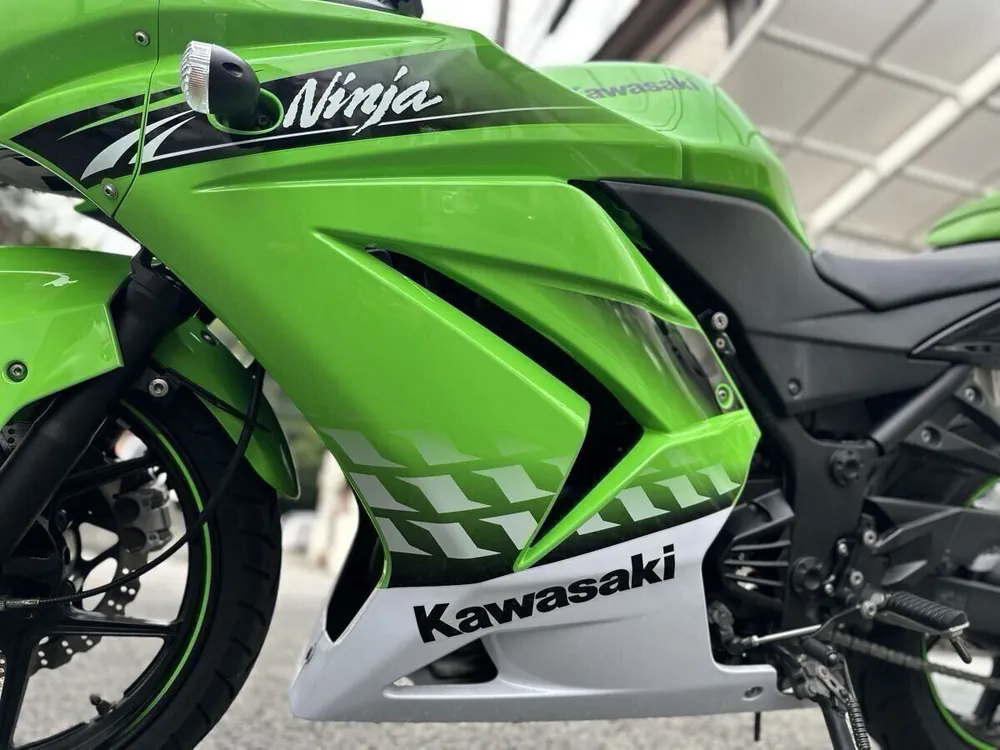 Kawasaki Ninja 250R 2010, фото 7