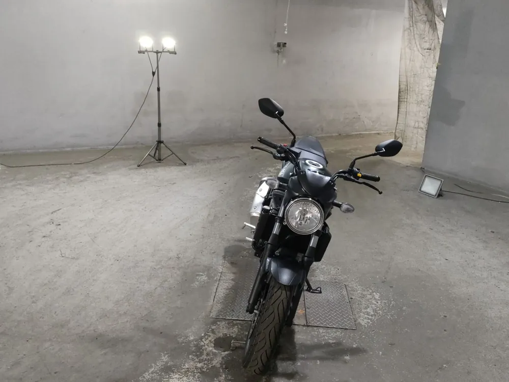 Suzuki SV650 2026, зелёный, фото 3