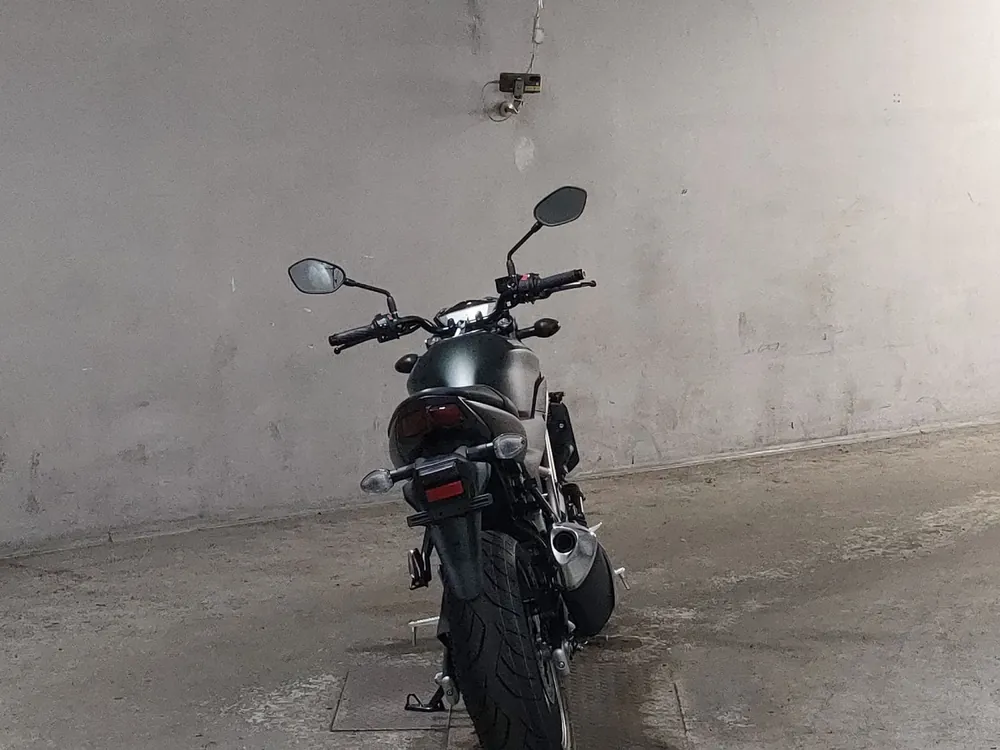 Suzuki SV650 2026, зелёный, фото 4