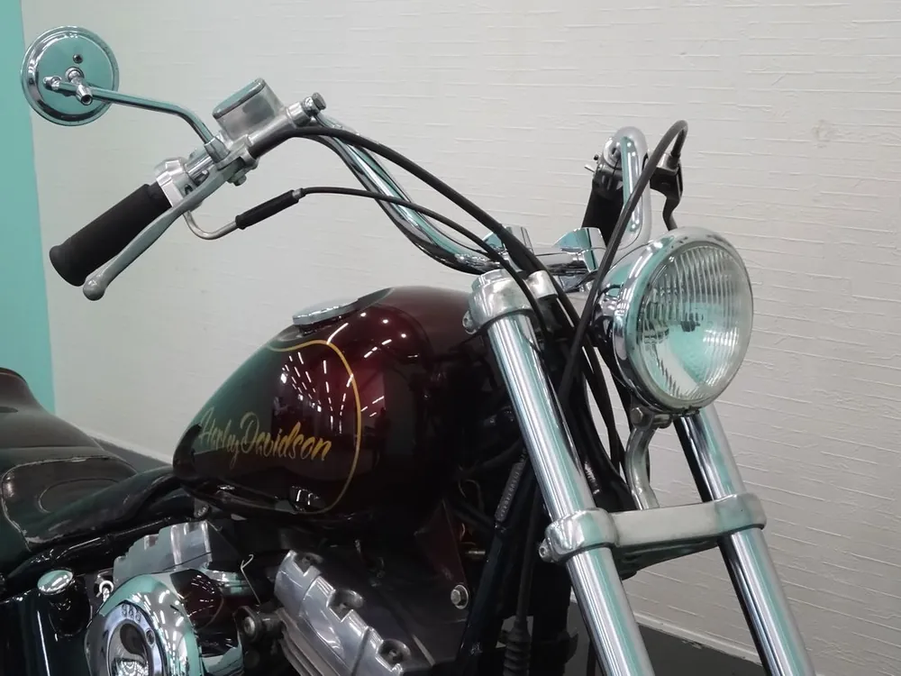 Harley-Davidson FXST 2007, фото 8