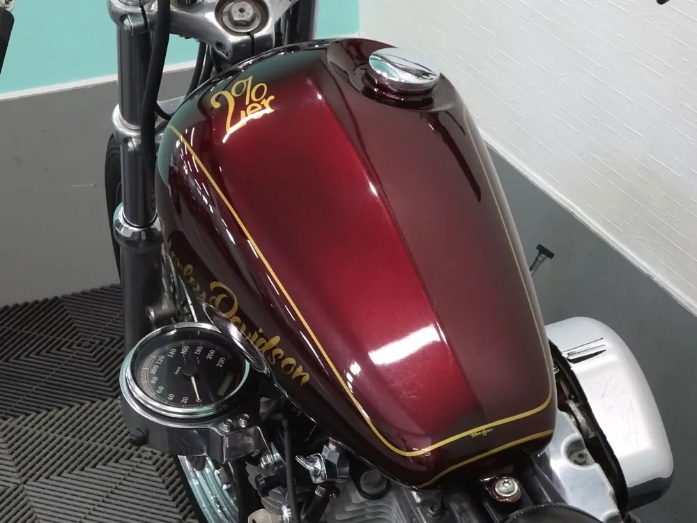 Harley-Davidson FXST 2007, фото 9