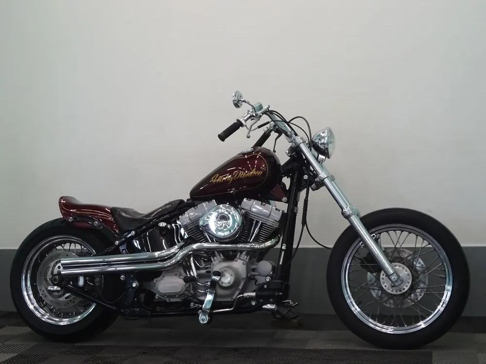 Harley-Davidson FXST 2007, фото 3