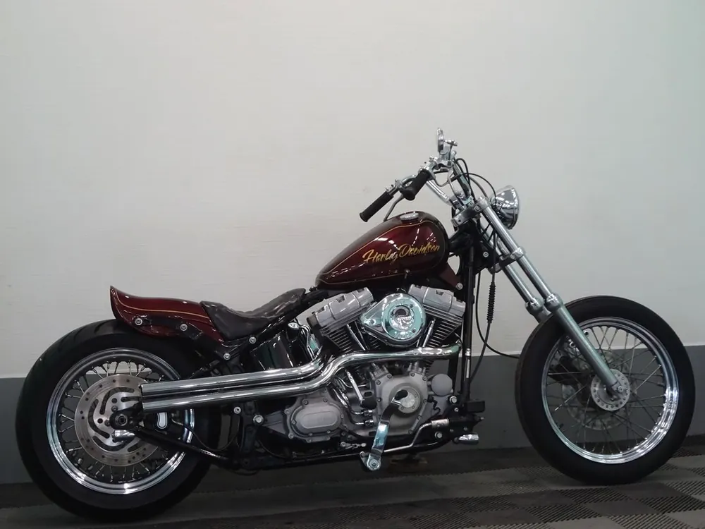 Harley-Davidson FXST 2007, фото 4