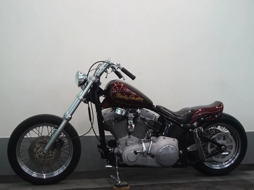 Harley-Davidson FXST 2007, фото 6