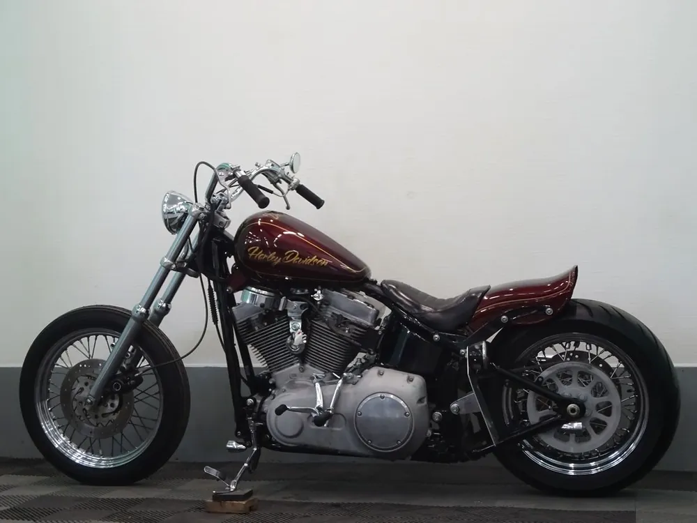 Harley-Davidson FXST 2007, фото 7