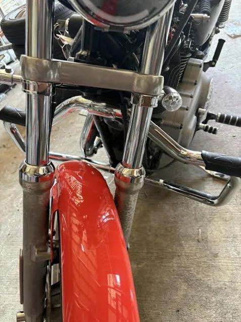 Harley-Davidson XL1200R 2005, фото 2