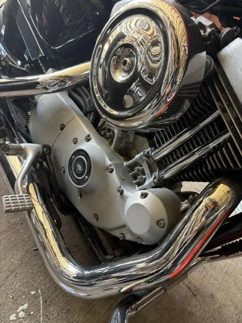 Harley-Davidson XL1200R 2005, фото 5