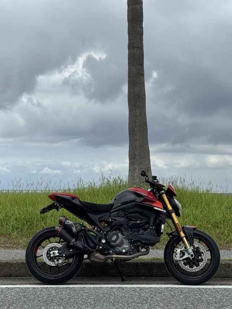 Ducati Monster SP 2024, фото 4