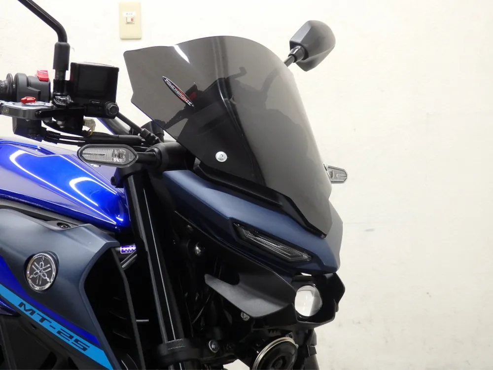 Yamaha YZF-R25, синий, фото 12