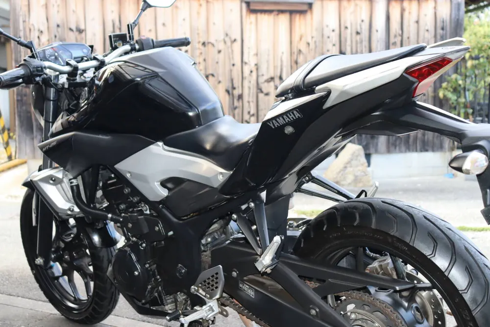 Yamaha MT-25 2016, фото 2