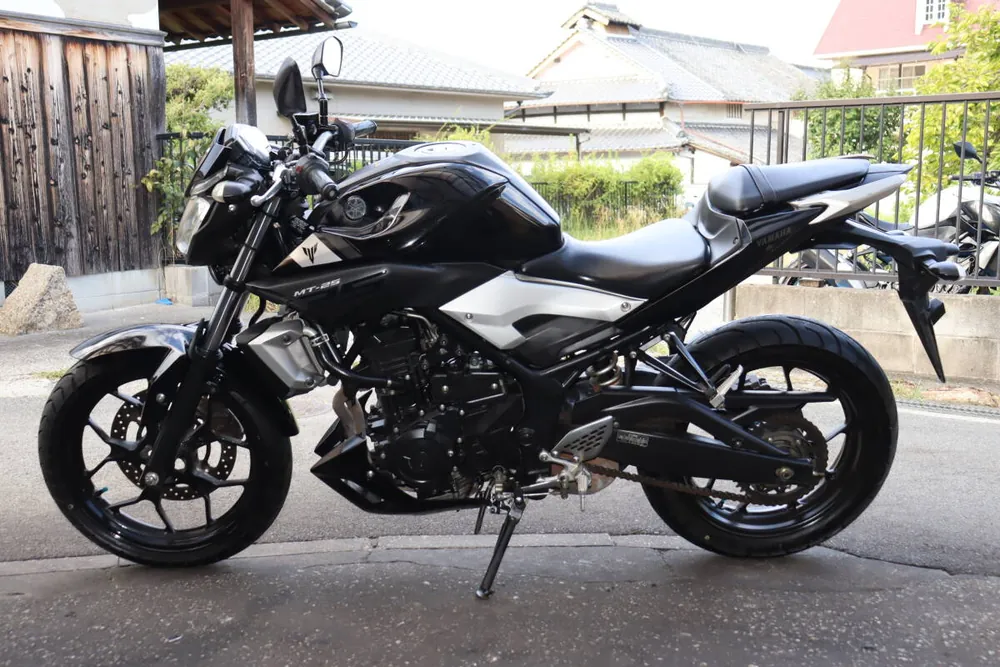 Yamaha MT-25 2016, фото 4