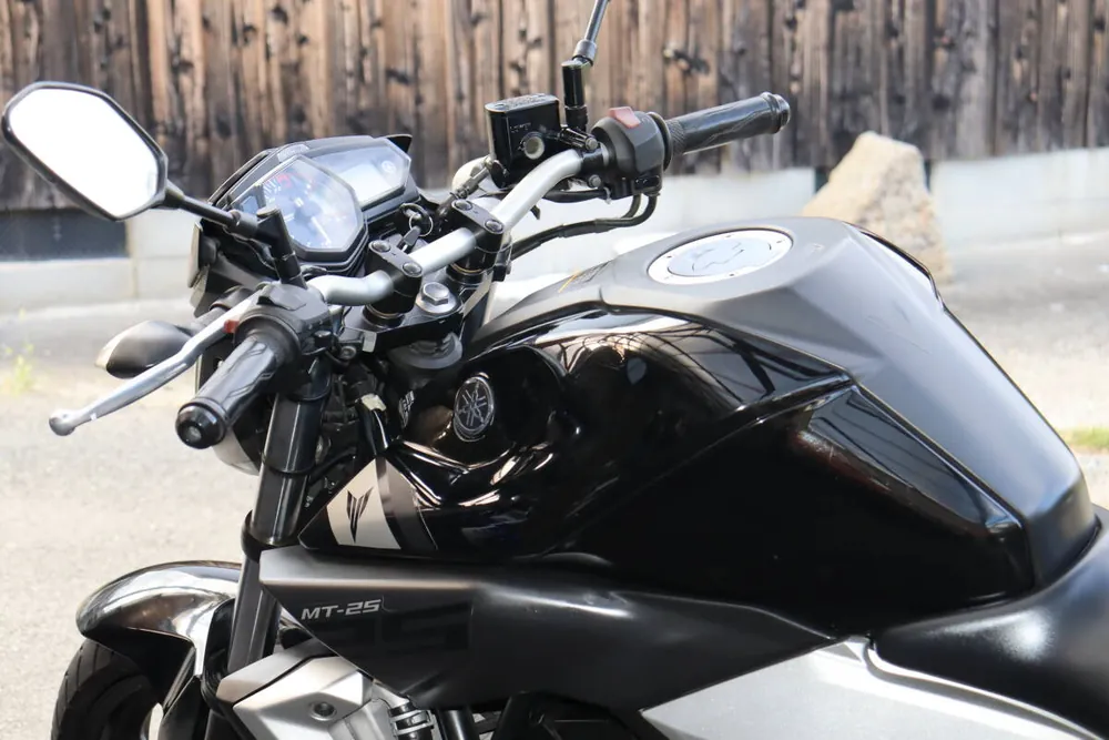 Yamaha MT-25 2016, фото 5