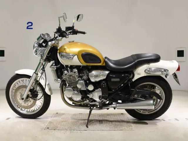 Triumph Adventure 2008, золотистый, фото 2