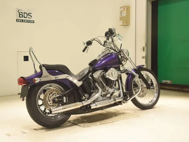 Harley-Davidson FXST1450 2000, фиолетовый, фото 5