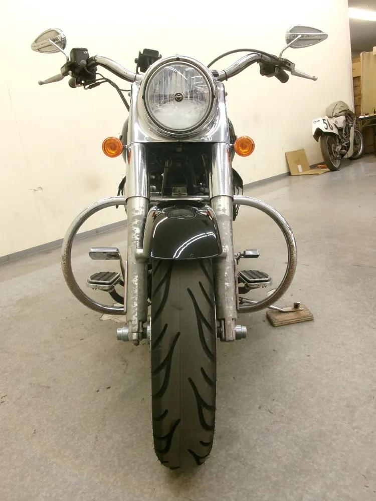 Harley-Davidson Fat Boy FLSTF1540 2005, фото 8