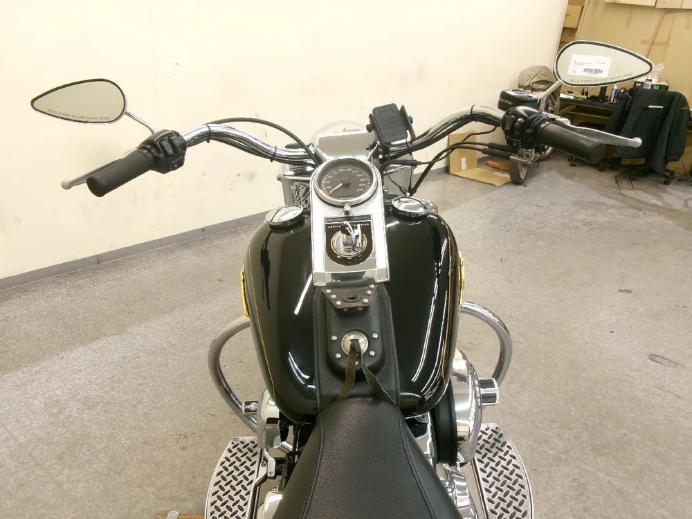 Harley-Davidson Fat Boy FLSTF1540 2005, фото 2