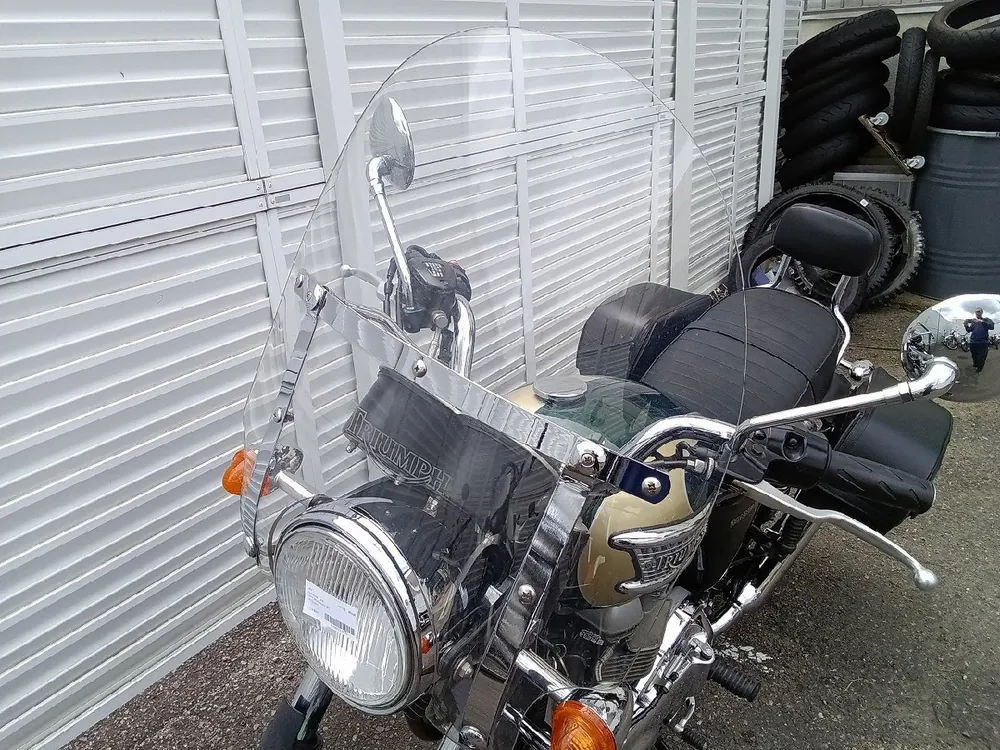 Triumph Bonneville T100 2004, фото 8