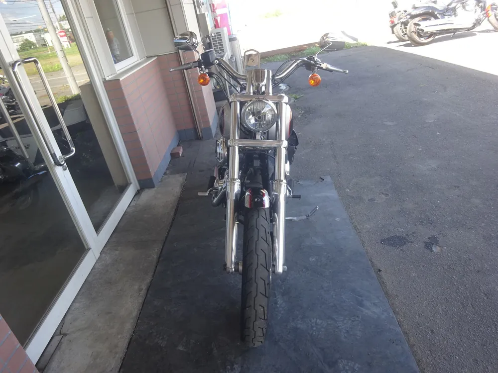 Harley-Davidson Dyna Low Rider 2009, чёрный, серебристый, фото 6