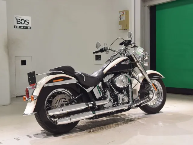 Harley-Davidson FLSTN1580 2011, white | black, фото 5