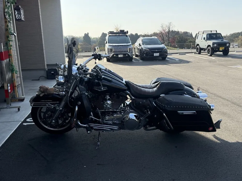Harley-Davidson Road King 2016, фото 3