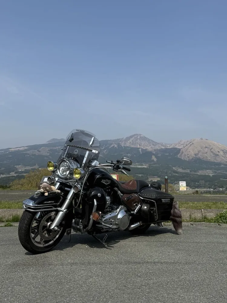 Harley-Davidson Road King 2016, фото 6