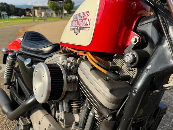 Harley-Davidson Sportster XL1200S 2000, фото 8