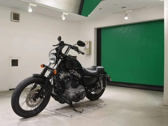 Harley-Davidson XL1200N 2009, чёрный, фото 4