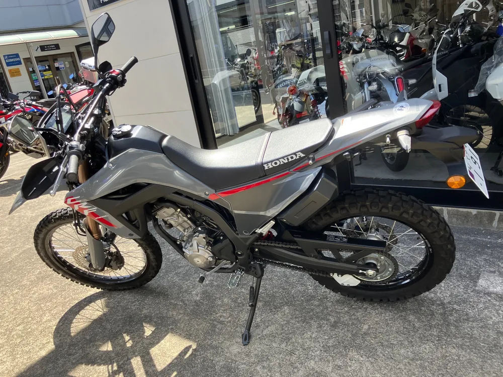 Honda CRF250 Rally, серый, фото 3
