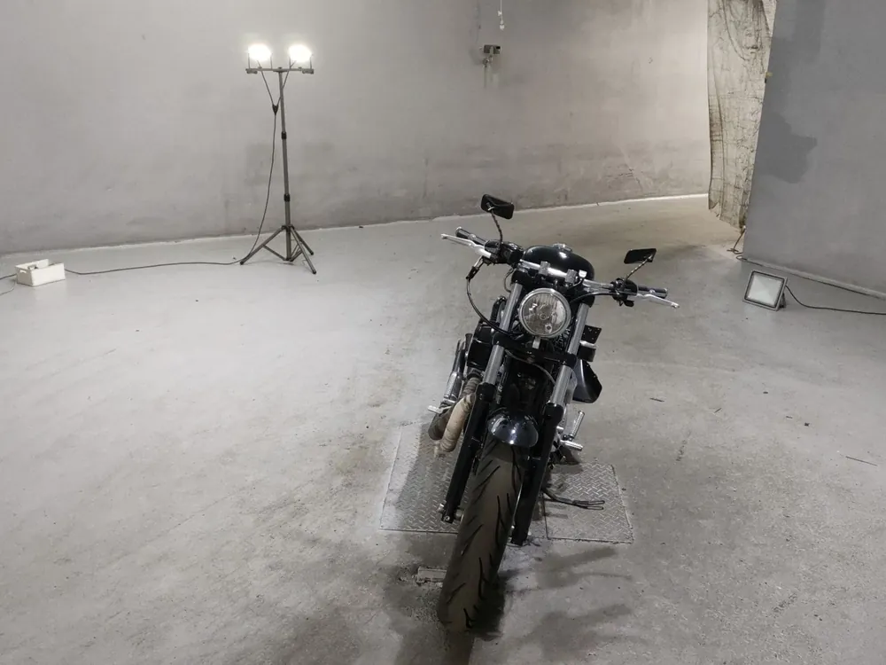 Harley-Davidson XL1200C 2014, чёрный, фото 3