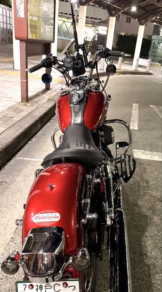 Harley-Davidson FLD Switchback 2012, фото 8