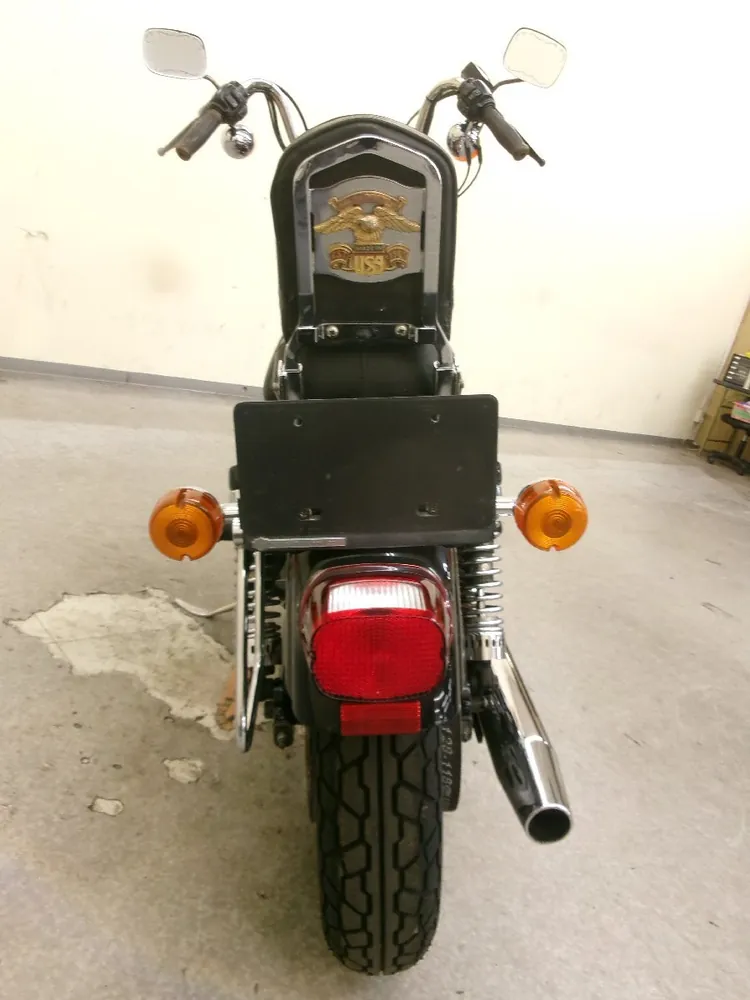 Harley-Davidson Sportster 1200 Sport 2002, фото 9