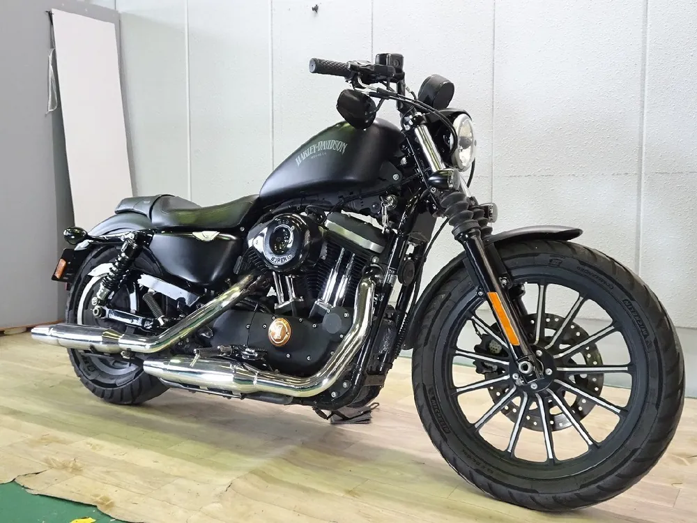 Harley-Davidson Sportster 883 2014, фото 3