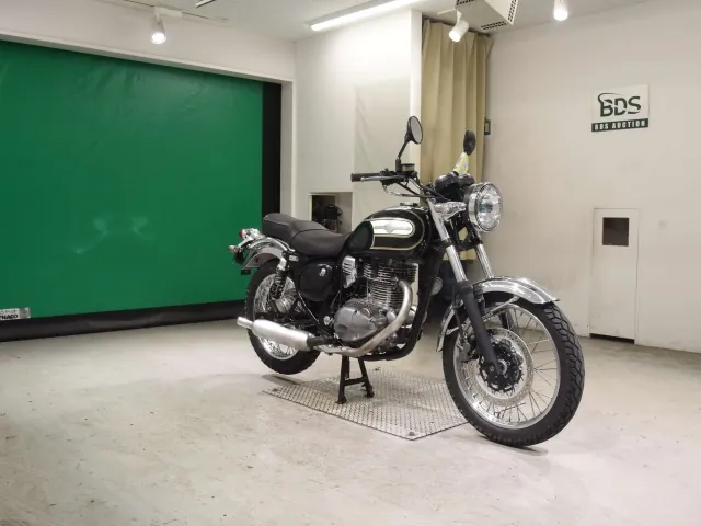 Kawasaki Estrella, белый, зелёный, фото 3