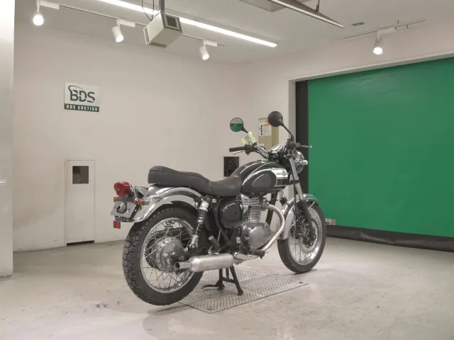 Kawasaki Estrella, белый, зелёный, фото 5